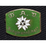Значок с эдельвейсом DAV Jungmannschaft